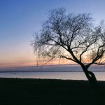 光棍影院2019新光棍推荐 0en5arg