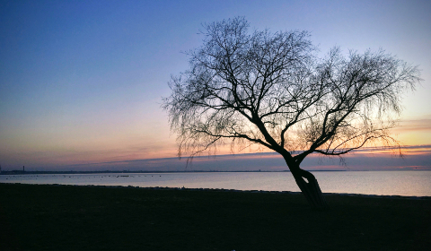 光棍影院2019新光棍推荐 光棍影院2019新光棍推荐