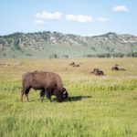 色在线影院色在线观看 15x3yod