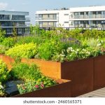 337P日本欧洲亚洲大胆精品 1mejq