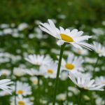 日韩精品视频一区二区三区 2i7rqq3z1y