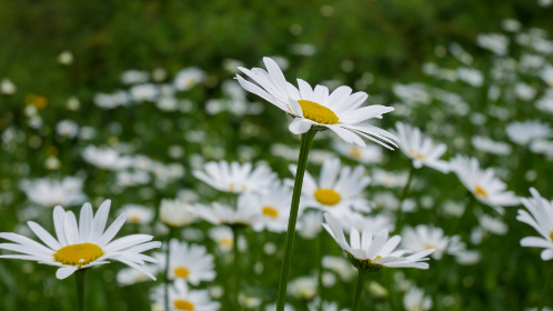 日韩精品视频一区二区三区 日韩精品视频一区二区三区