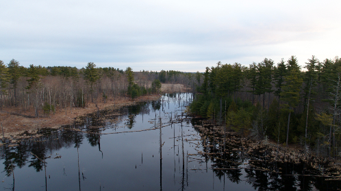 先锋影音无码专区第一页 先锋影音无码专区第一页