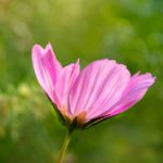 7m视频精品广告资源 5smbp9jx2