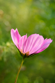 7m视频精品广告资源 7m视频精品广告资源