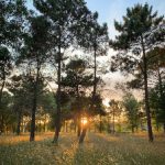 67194视频在线播放 6w0f18gve