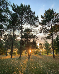 67194视频在线播放 67194视频在线播放