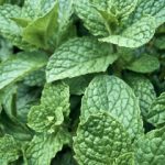 色噜噜狠狠综合在爱成< 7y4vd1vqn9