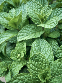 色噜噜狠狠综合在爱成< 色噜噜狠狠综合在爱成<