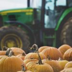 500短篇超污TXT 8yaakr8vej