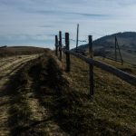 2019午夜福利1000合集92 9cfs2bxrg