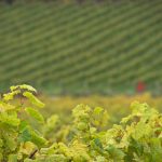 av72|free from voice在线 a787i