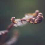 18禁止观看强奷视频在线观看 b8i55109