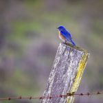 成年轻人网站色直接看 cq5j4zi4f