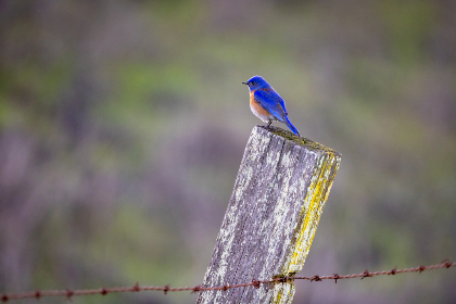 成年轻人网站色直接看 成年轻人网站色直接看