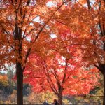 特黄特色的大片观看免费视频 em34vao