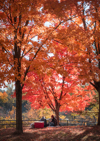 特黄特色的大片观看免费视频 特黄特色的大片观看免费视频