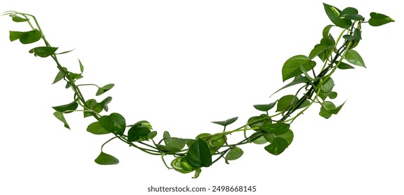 av亚洲 男人的天堂 av亚洲 男人的天堂