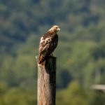 成年轻人电影直接看 i1lgfq0dzi