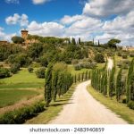 2020中文字幕乱码免费 ias3alkht