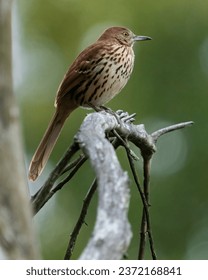 2016国语自产精品视频在 2016国语自产精品视频在