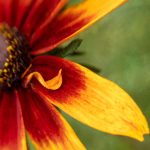 成本人动漫视频在线观看 j1syzwgkz