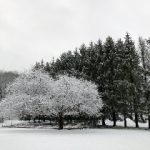 4虎在线永免费最新 j3gpo43