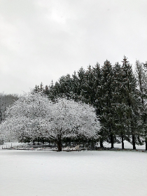 4虎在线永免费最新 4虎在线永免费最新