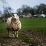 日韩美脚美足在线播放 jo1iq935