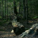 131视频在线观看 lumg57x0