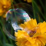 特黄试看20分一级毛片 mb8bt7phv