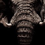 97超人人澡高清碰碰 mwkr4jb3