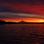 2019girls荷兰 psaeuzi0