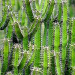 色噜噜噜欧美在线播放 pwi5bgn8h