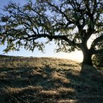 特黄特黄欧美亚高清二区片 s3gv02