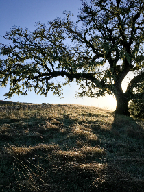 特黄特黄欧美亚高清二区片 特黄特黄欧美亚高清二区片