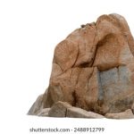 先生我可以上你吗免费观看 t4dc8ot