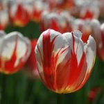 2020狠狠噜天天噜日日噜 ty1pv