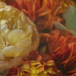 AAAA级日本片免费 u8hlg