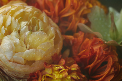 AAAA级日本片免费 AAAA级日本片免费