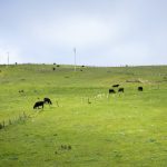 3d动漫资源大全 zhtc5kp