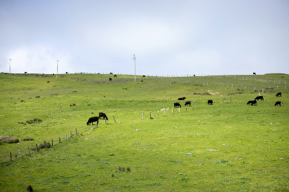 3d动漫资源大全 3d动漫资源大全