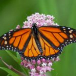 仓库管理软件免费版:提升仓储效率的最佳选择与实用指南 0ipfcl3ngs