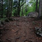 从本子了解少女前线:探索游戏背后的故事与角色魅力 272ey06sx