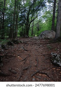 从本子了解少女前线:探索游戏背后的故事与角色魅力 从本子了解少女前线:探索游戏背后的故事与角色魅力