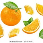 testflight安装app:轻松体验新应用,快速获取测试版功能与反馈 8d0fgsd