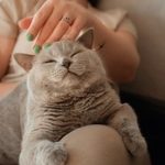 testflight on pc:如何在电脑上顺利使用TestFlight进行应用测试 ip45no2h79