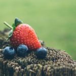 the ync official site:探索最新动态与独家内容的最佳平台 j73j53