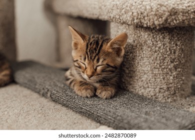 the av club website:探索影视评论与文化的独特视角与深度分析 the av club website:探索影视评论与文化的独特视角与深度分析